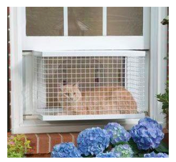 safety window cat guard pet proof box screen houndini gadgets pethub